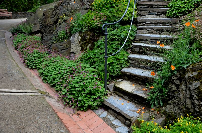 Stone Step Rehabilitation